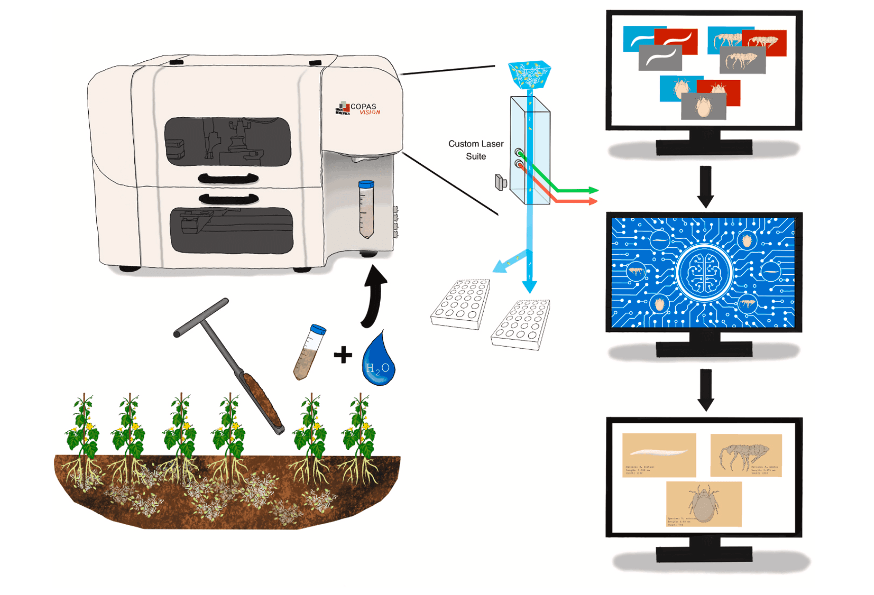 Smart SOD workflow: a soil core is suspended and passed through the cytometer's custom laser suite for multispectral imaging, then classified into a soil-organism record.